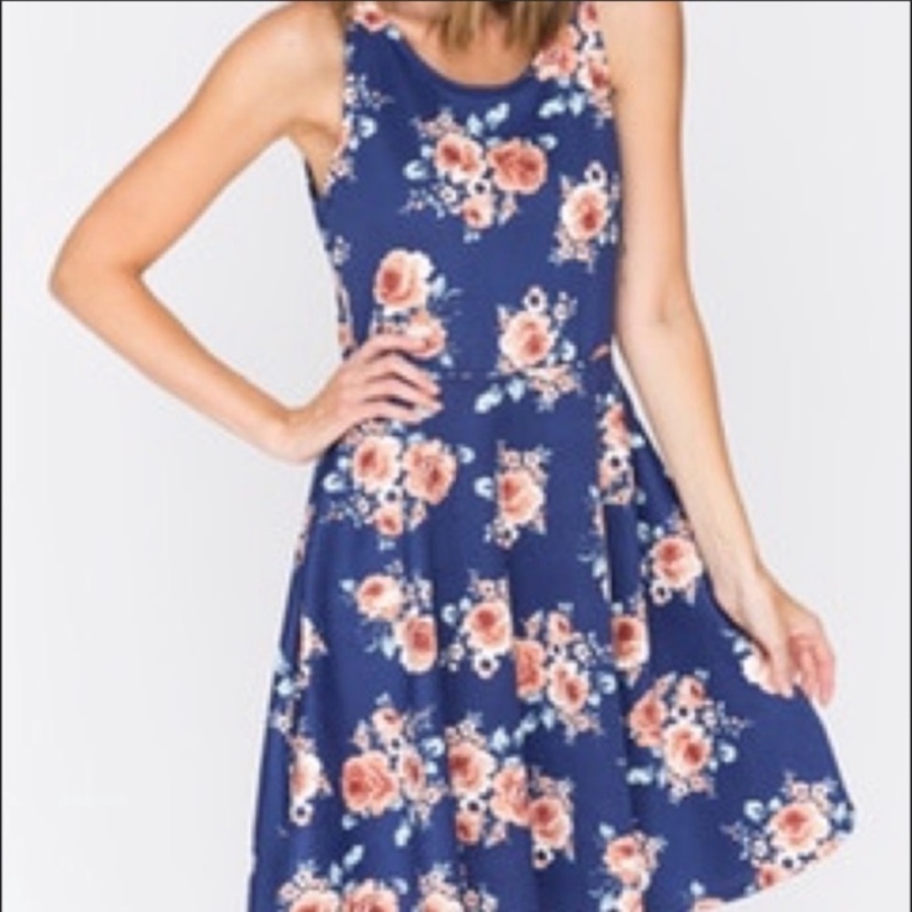 Agnes & Dora Blue floral Fit & Flare dress NWT